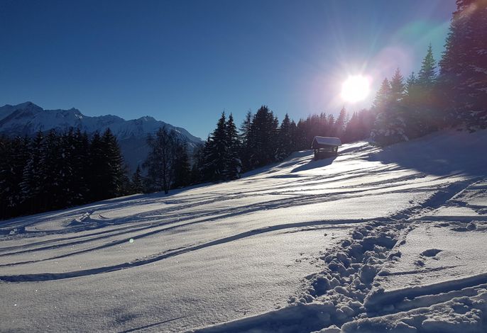Bild 18