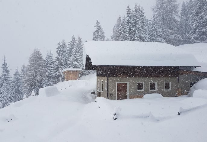Bild 13