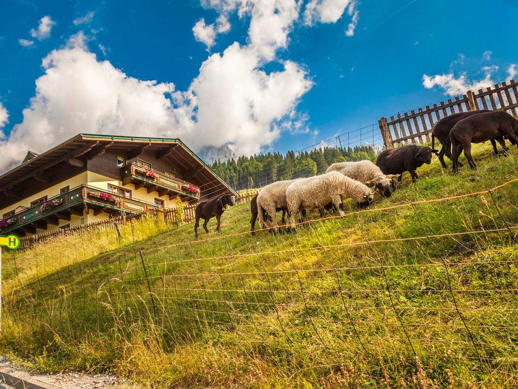 Ferienbauernhof Elmaugut