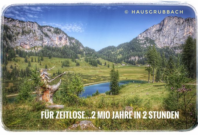 Bild 34
