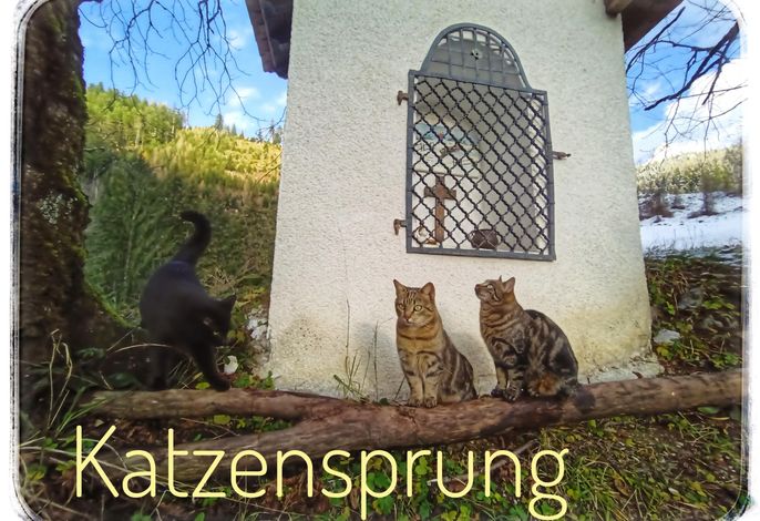 Bild 29