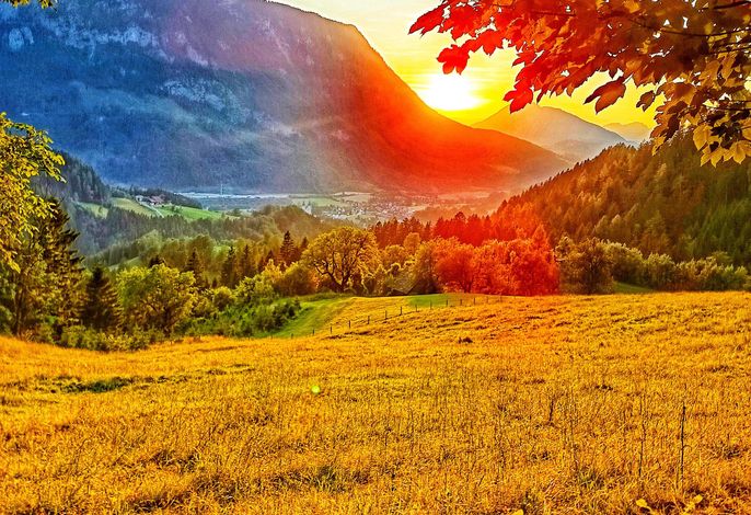 Bild 66