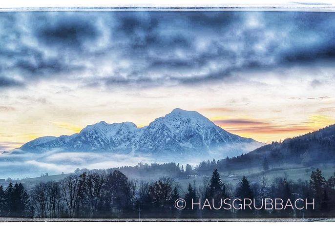 Bild 40