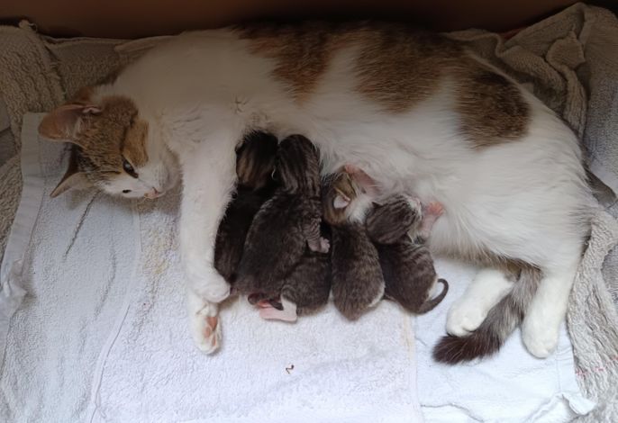 Bild 65