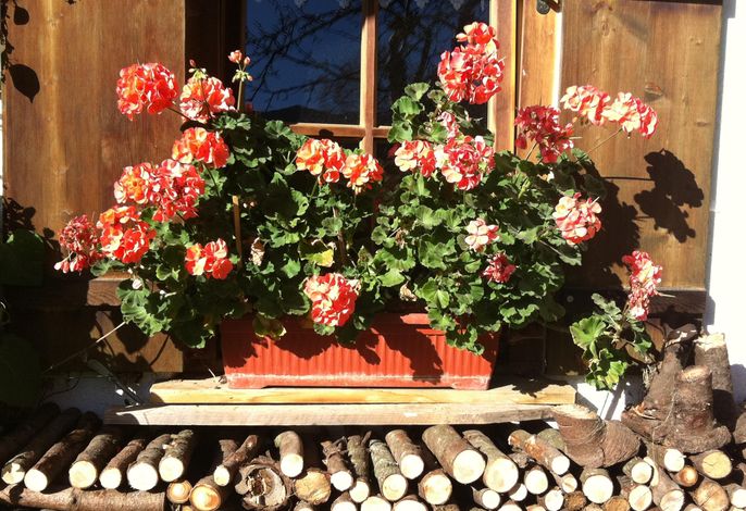 Haus Sonnenruh – Foto 4