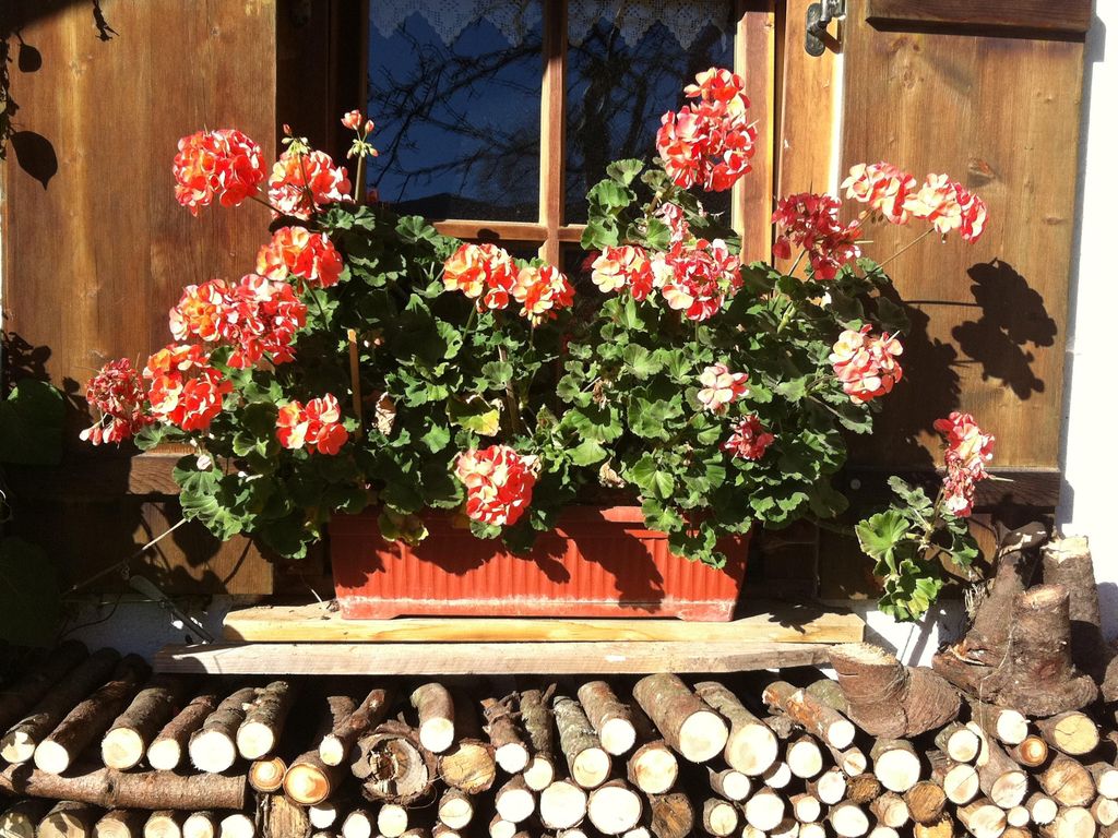 Haus Sonnenruh