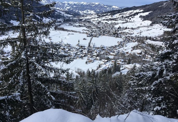 Bild 7