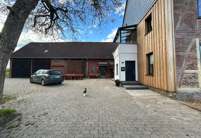 Bild 12