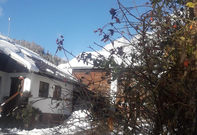 Bild 14