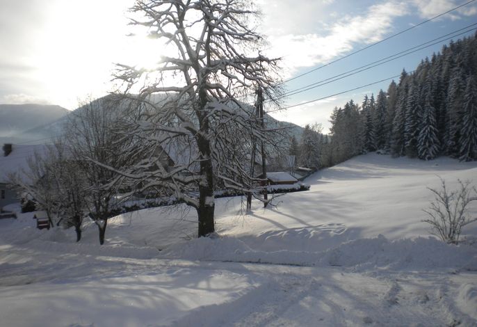 Bild 12