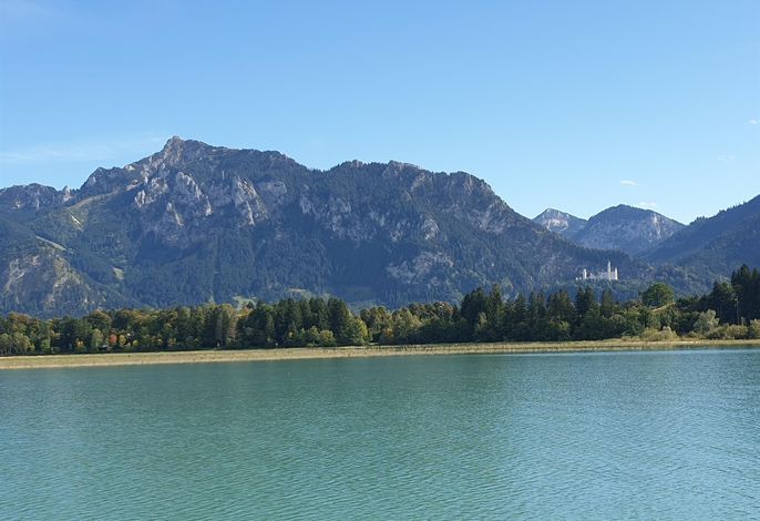 Bild 24