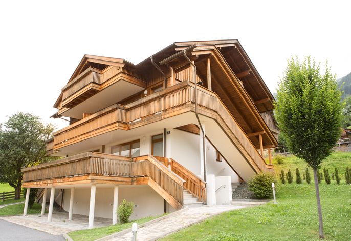 Bild 12