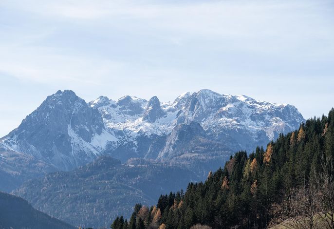 Bild 54