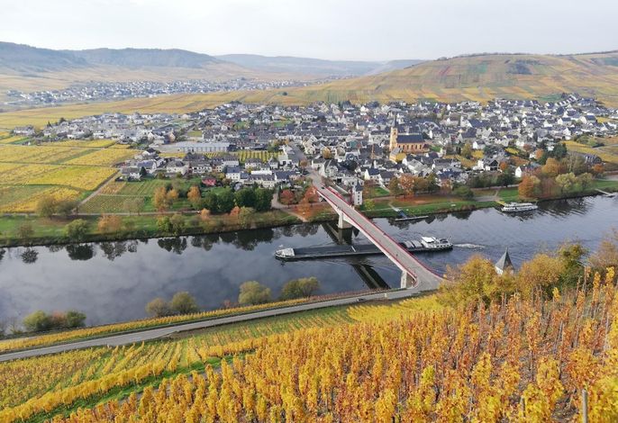 Bild 12