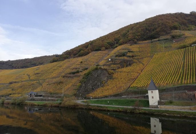 Bild 16