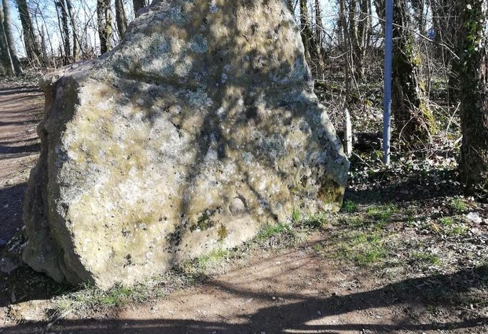 Bild 17