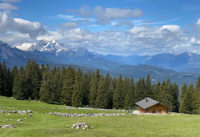 Bild 84