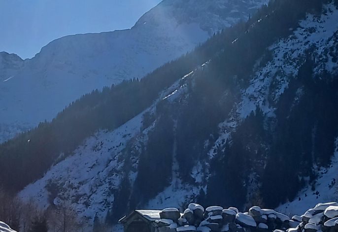Bild 19