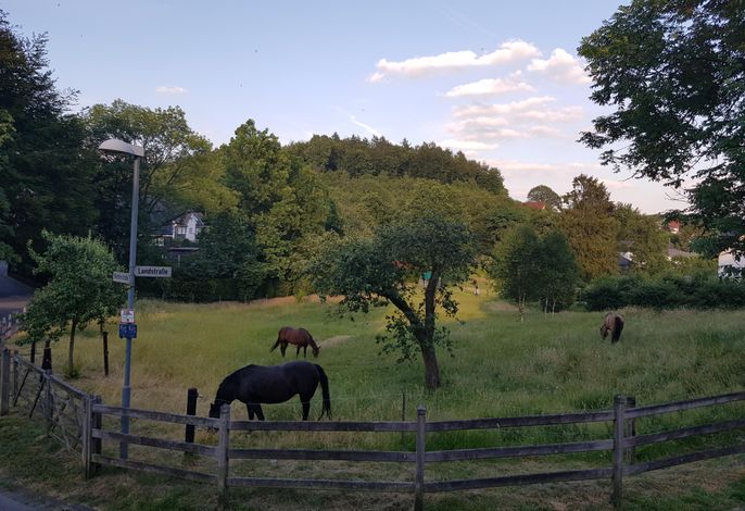 Bild 14
