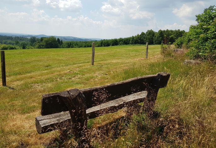 Bild 19