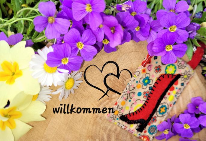 Bild 22