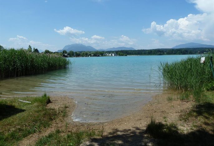 Bild 36