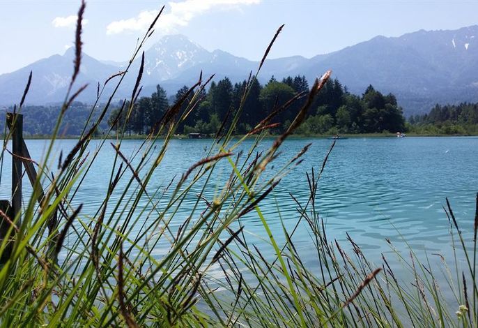Bild 17