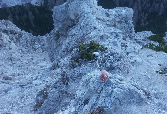 Bild 45