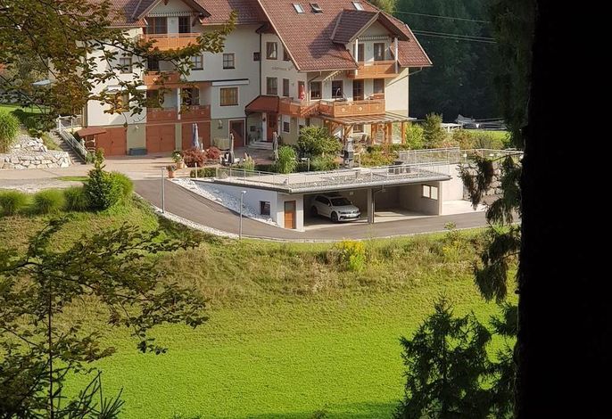 Bild 63