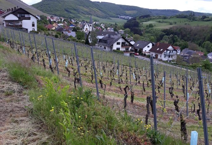 Bild 16