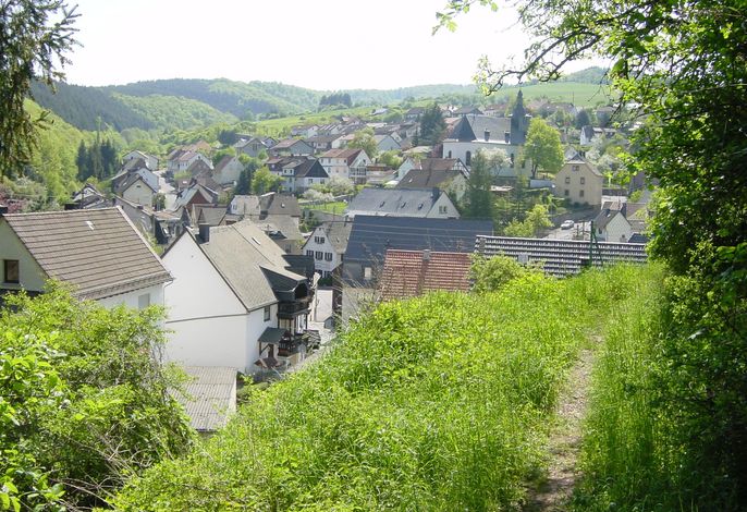 Bild 7