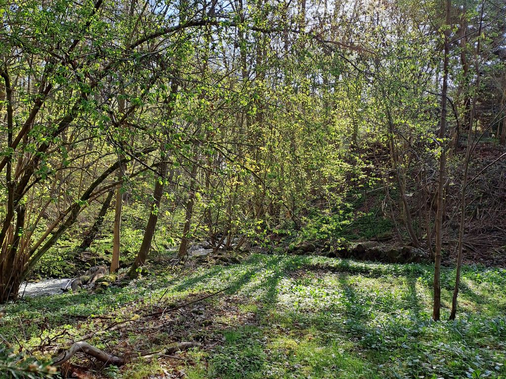 Ferienwohnung Rosenthal