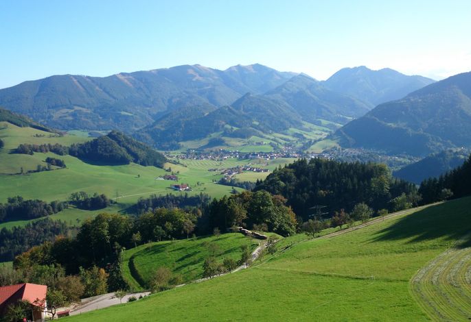Bild 2