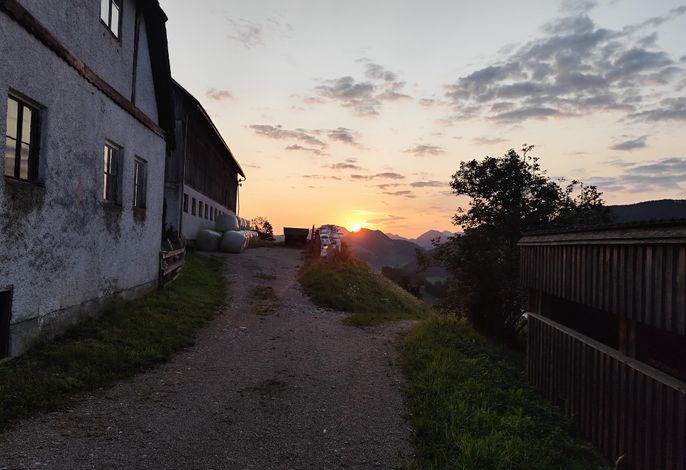Bild 30