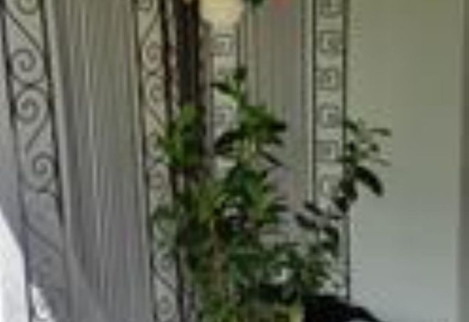 Bild 20