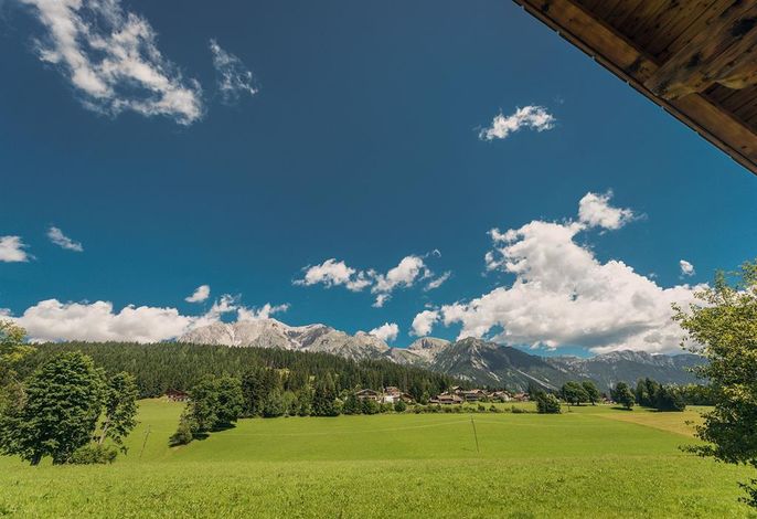 Bild 12