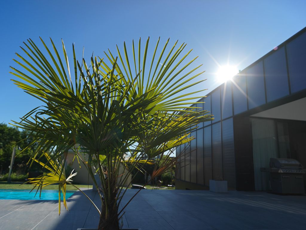 Apartment SunBox
