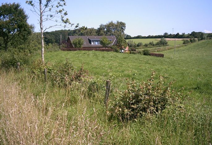 Bild 12