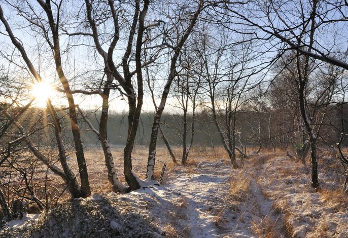 Bild 16