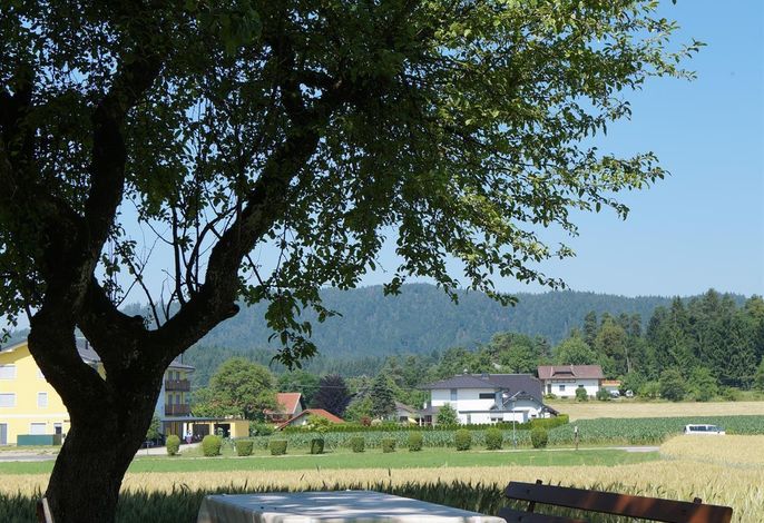 Bild 17