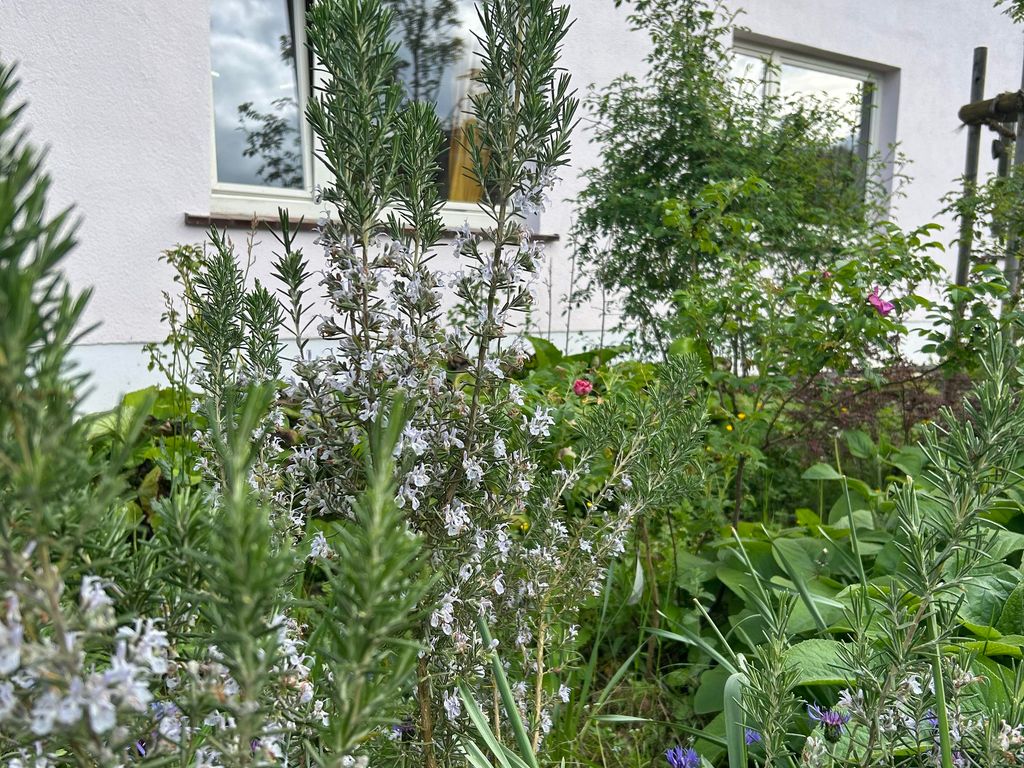 Gäste- und Seminarhaus Mensch und Natur
