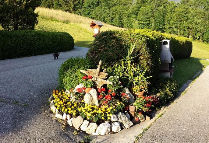 Bild 16
