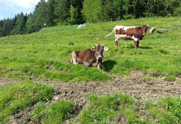 Bild 20