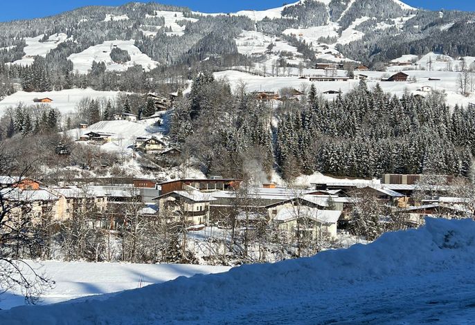 Bild 15