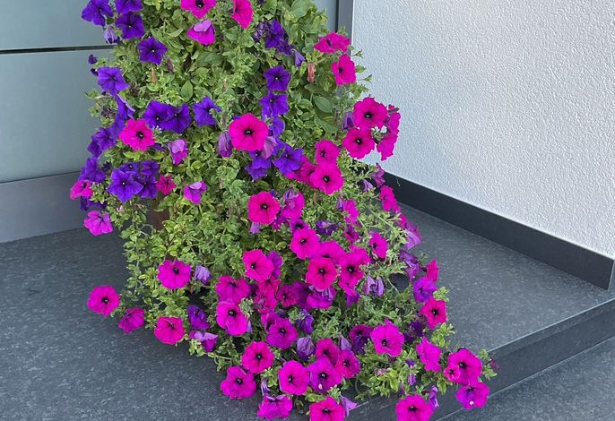 Bild 19