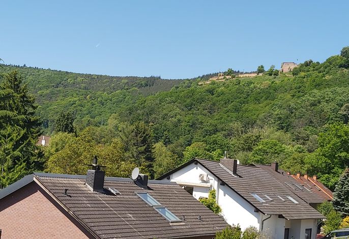 Fewo Ittel-Burgblick