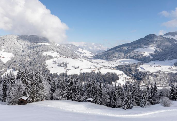 Bild 22