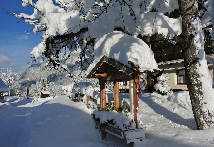 Bild 19