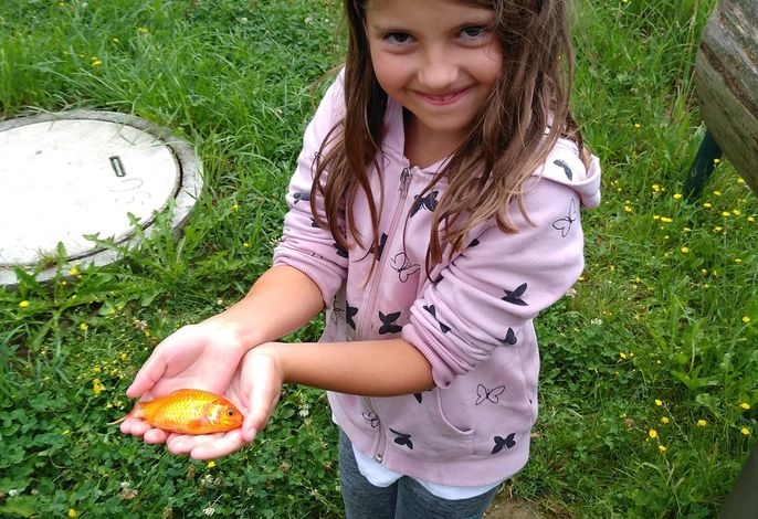 Bild 14