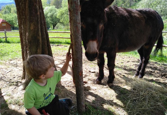Bild 16